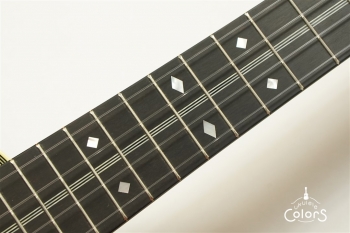 HM-C20 Concert -TR10th Anniversary Model- #361